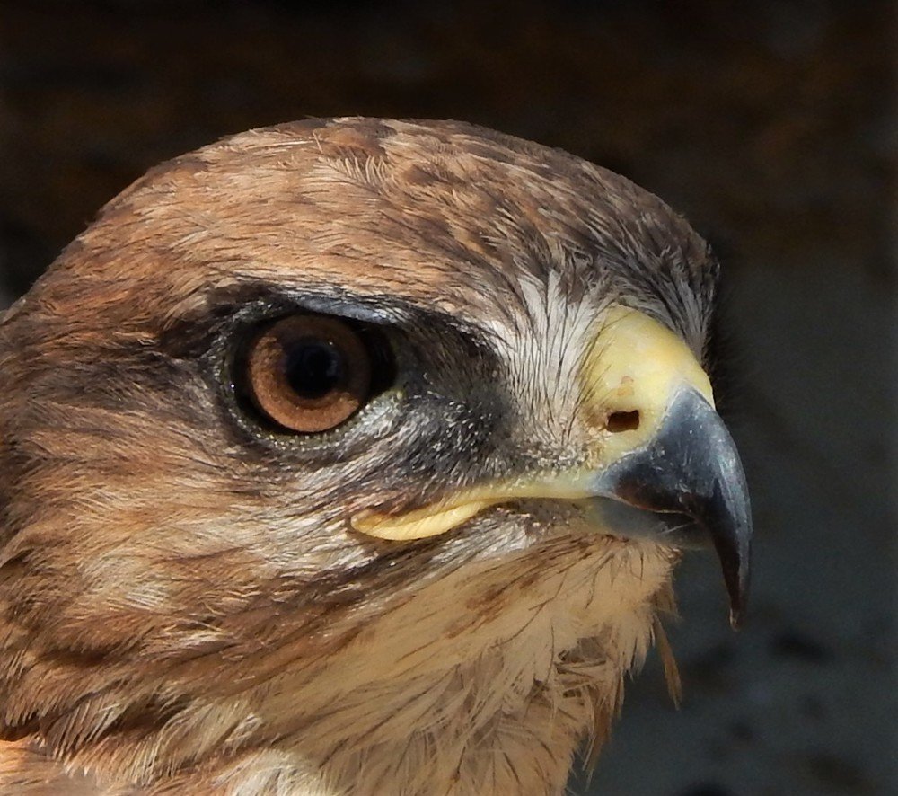 Photograph by Ирина Самойленко