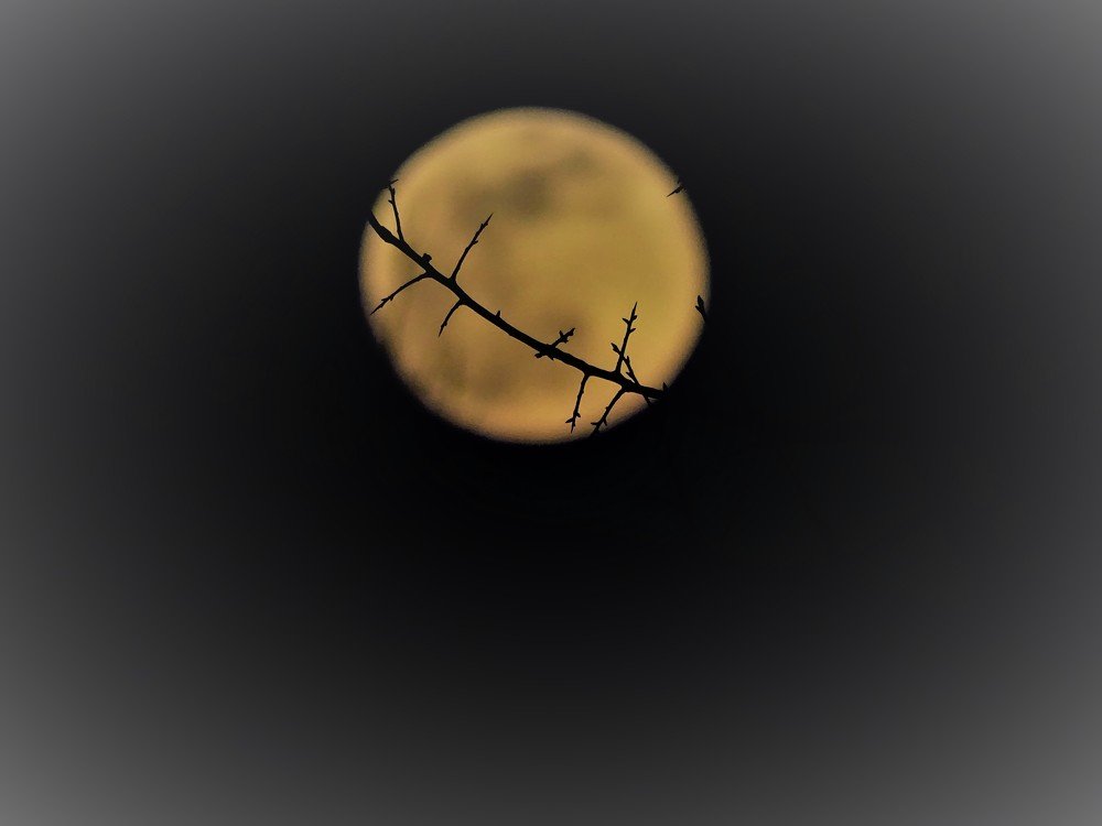 Photograph by Марина Цекова