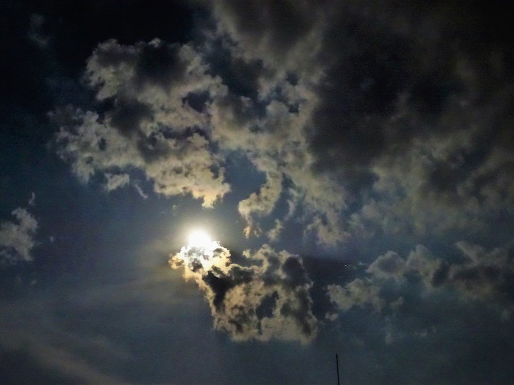 Photograph by Марина Цекова