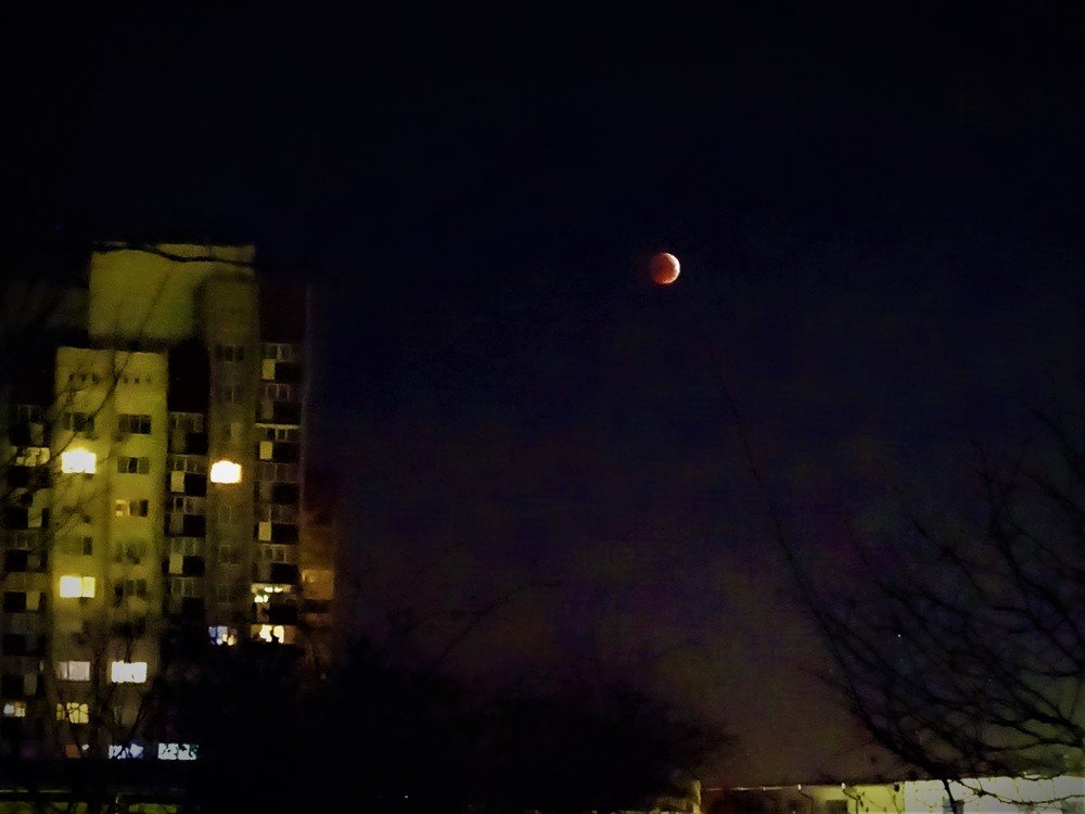 Photograph by Марина Цекова