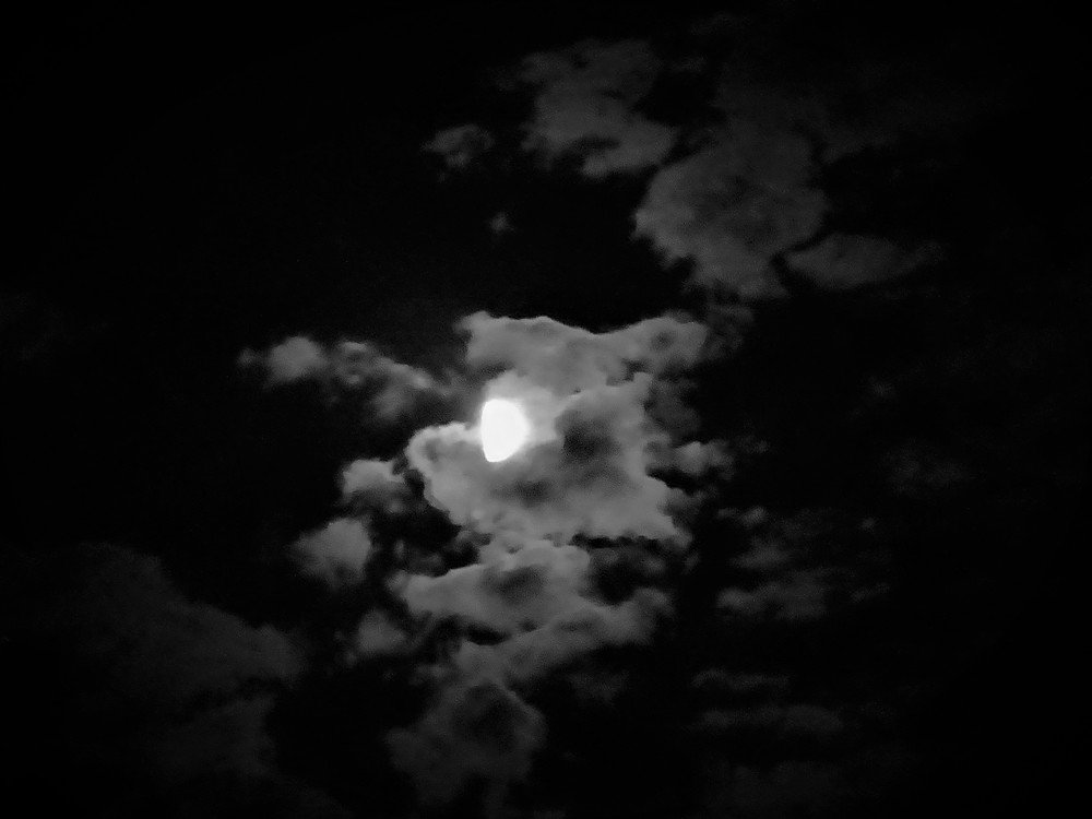 Photograph by Марина Цекова