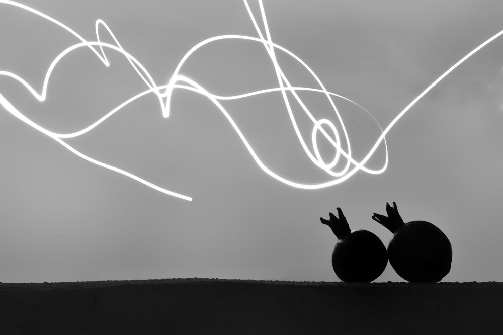 Photograph by Sahar Ghadir