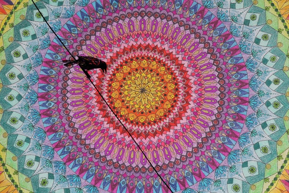 Photograph by Sahar Ghadir