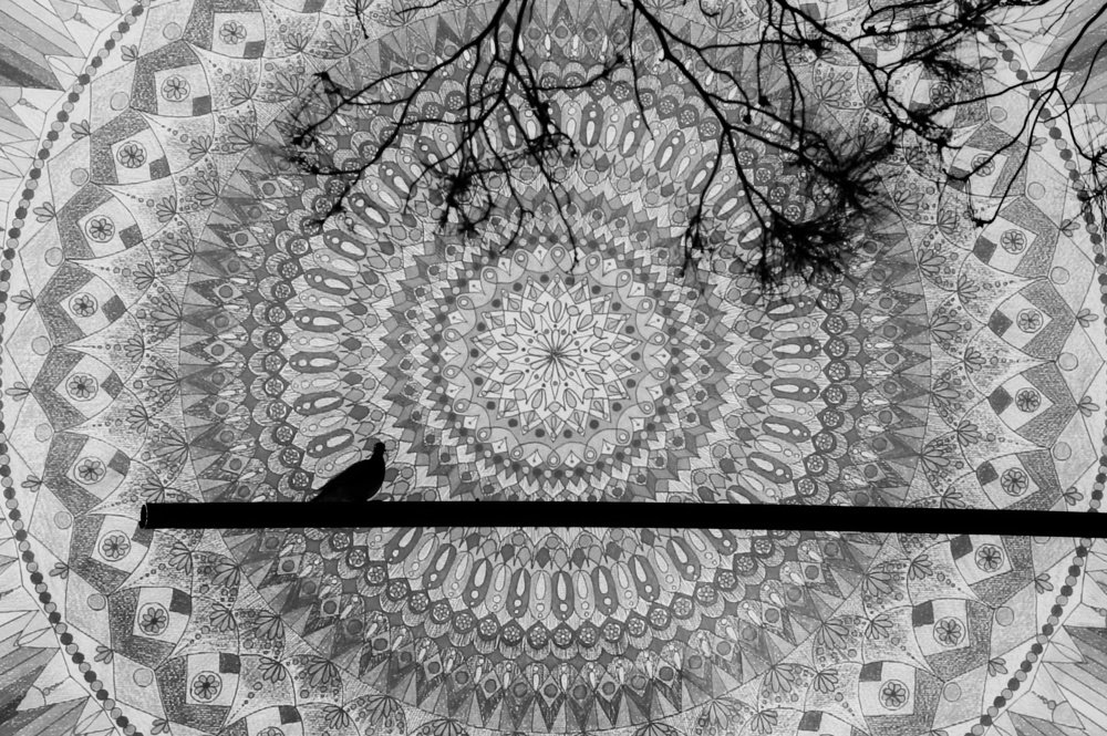 Photograph by Sahar Ghadir