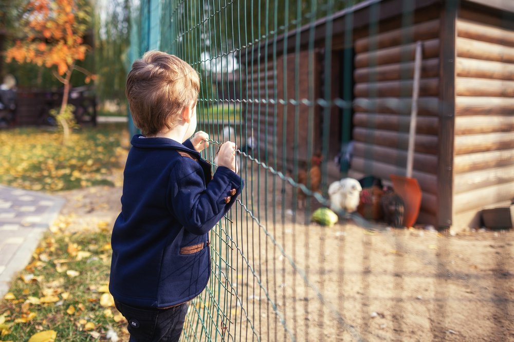 Photograph by Жанна Черкашина