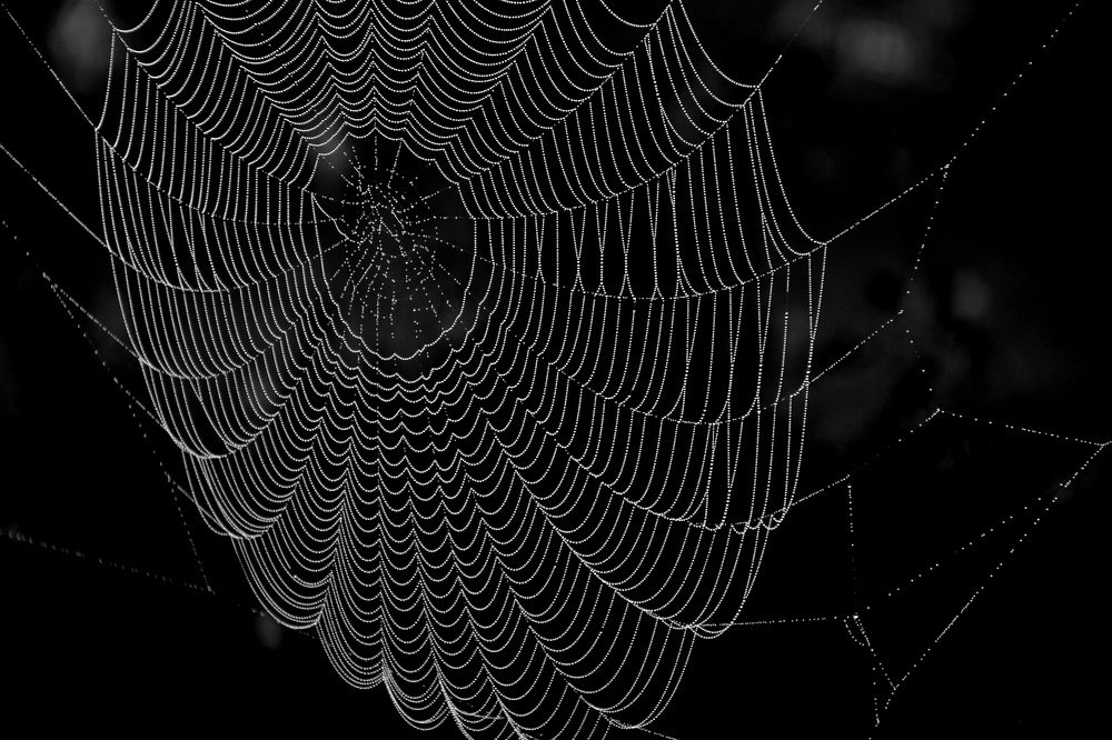 Photograph by Максим Двинин