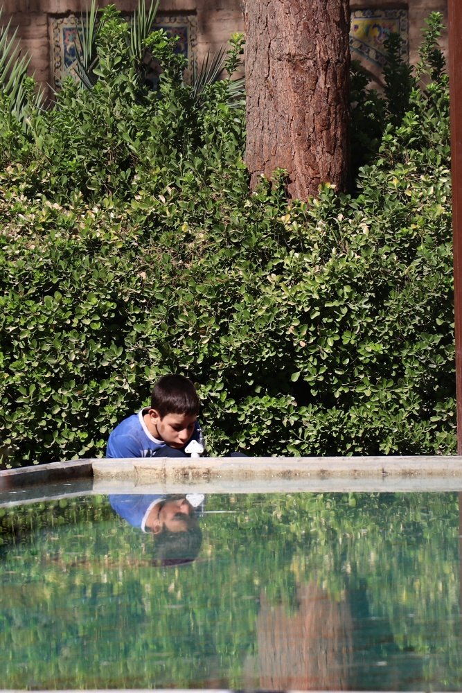 Photograph by Sahar Ghadir