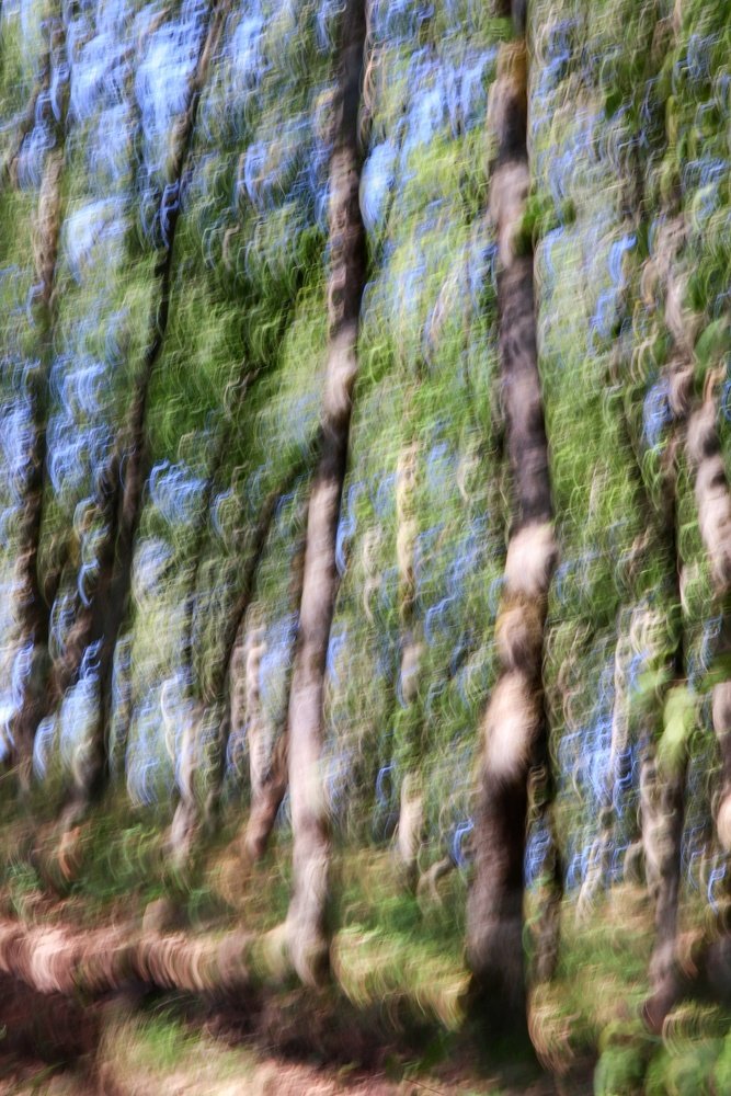 Photograph by Sahar Ghadir