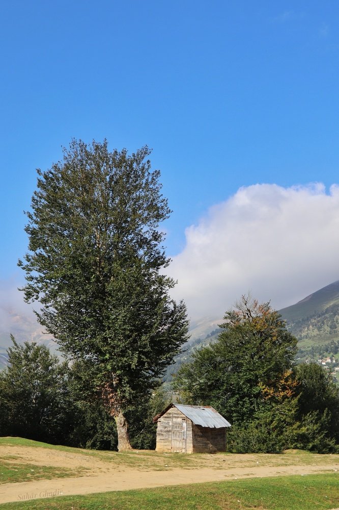 Photograph by Sahar Ghadir