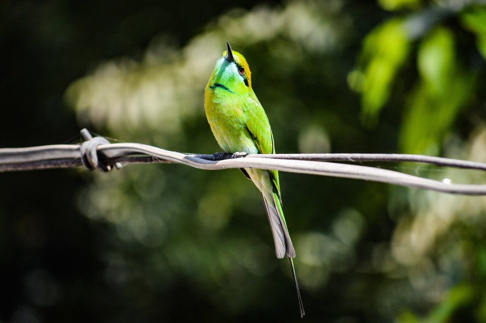Photograph by Nayan Nandurkar