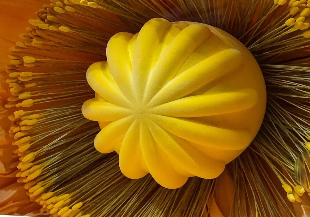 Фотография автора Georgeta Andronachi