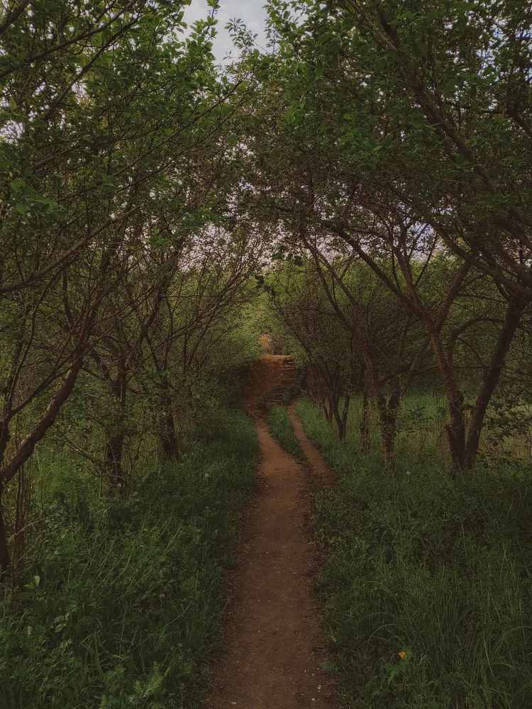 Photograph by Вероника Косян