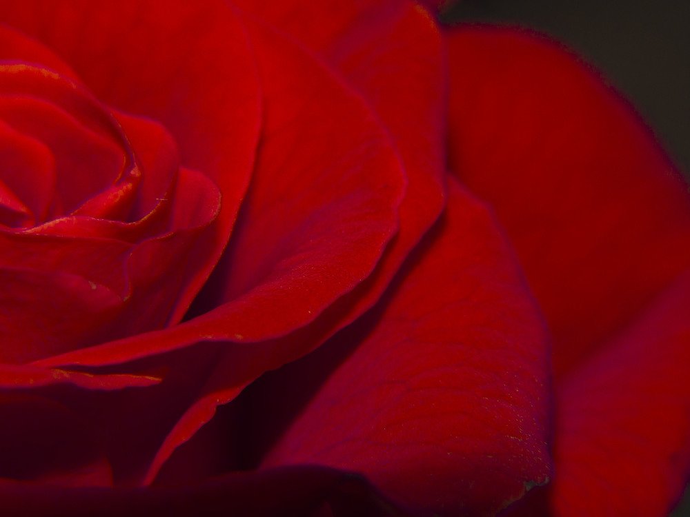 Photograph by Иван Доможирский