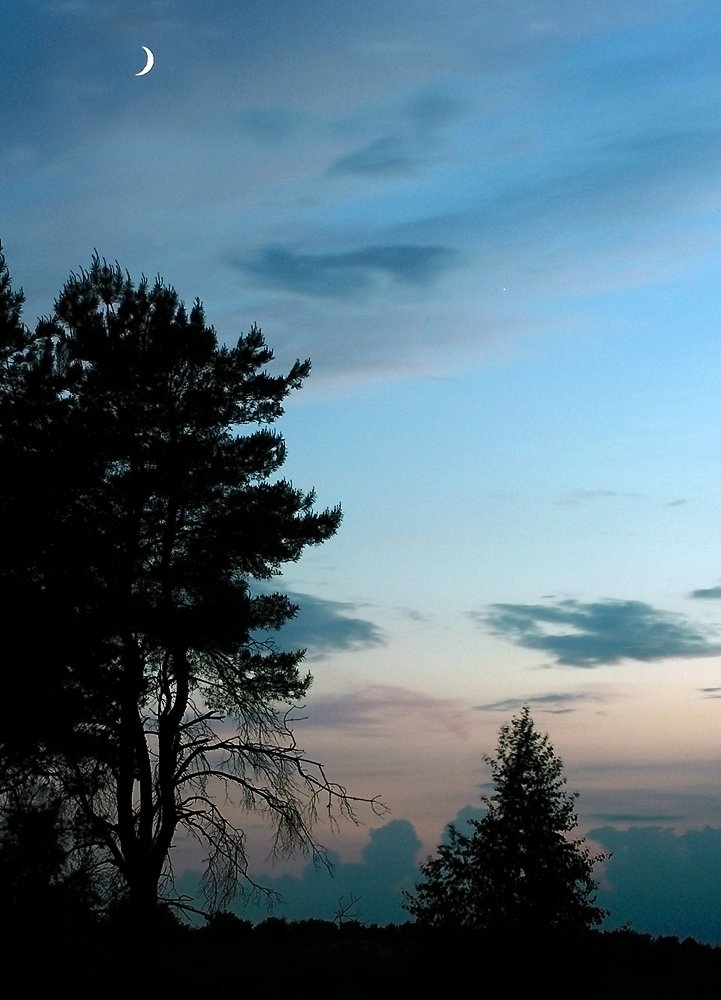 Photo #3756823