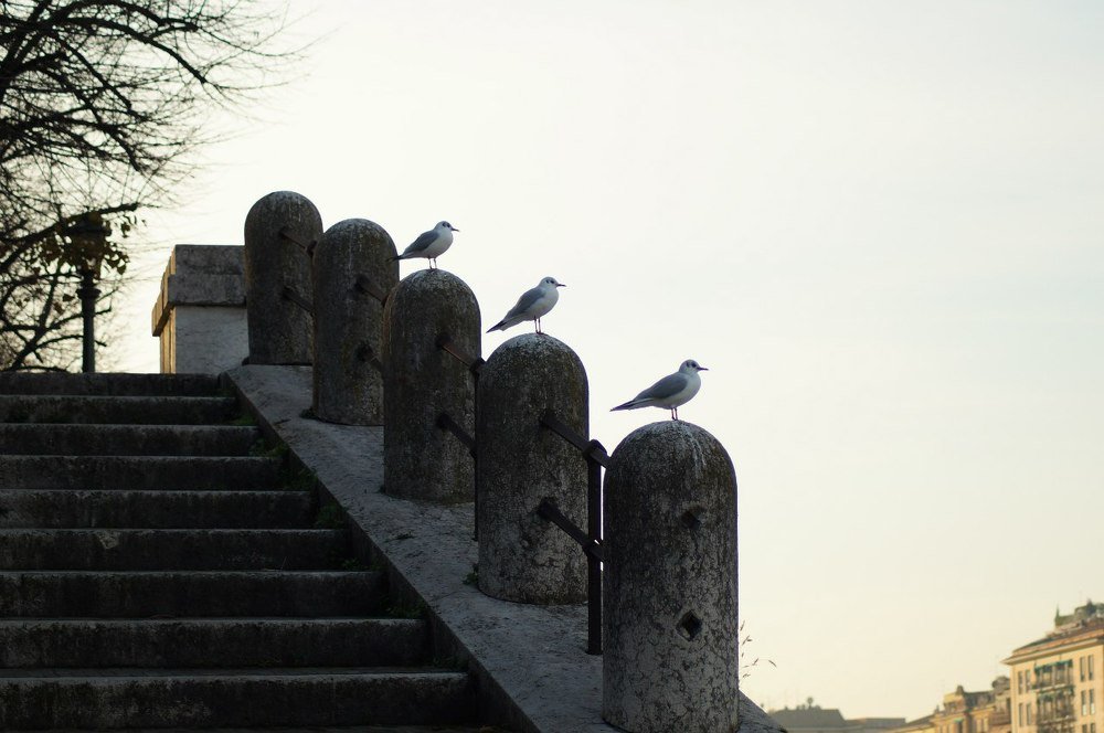 Photograph by Александр Попов