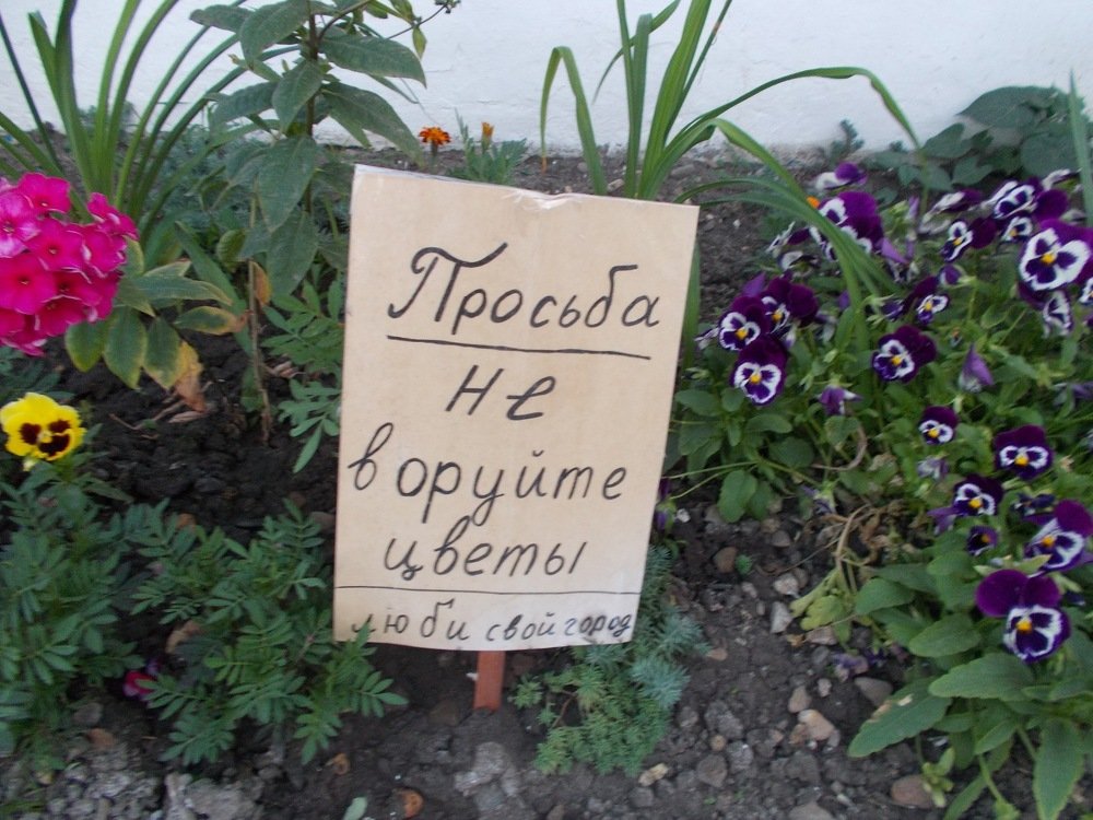 Photograph by Cергей Дубинин