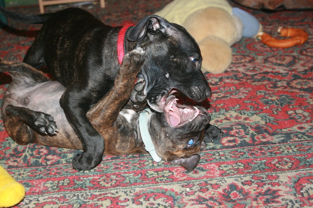 Photograph by Евгений Рабинович