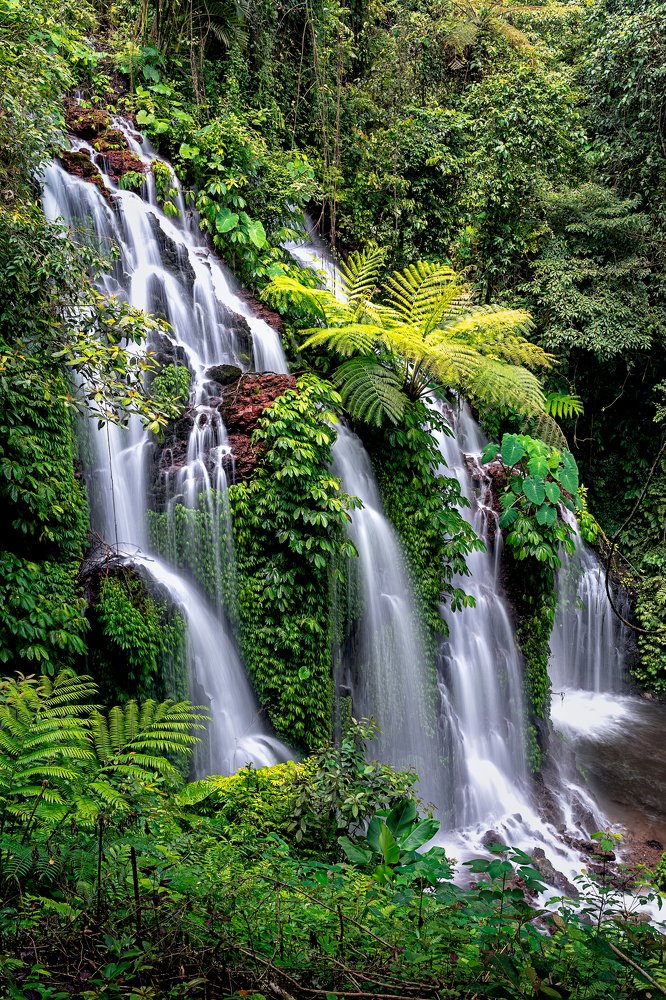 Photograph by Ying Tong Low