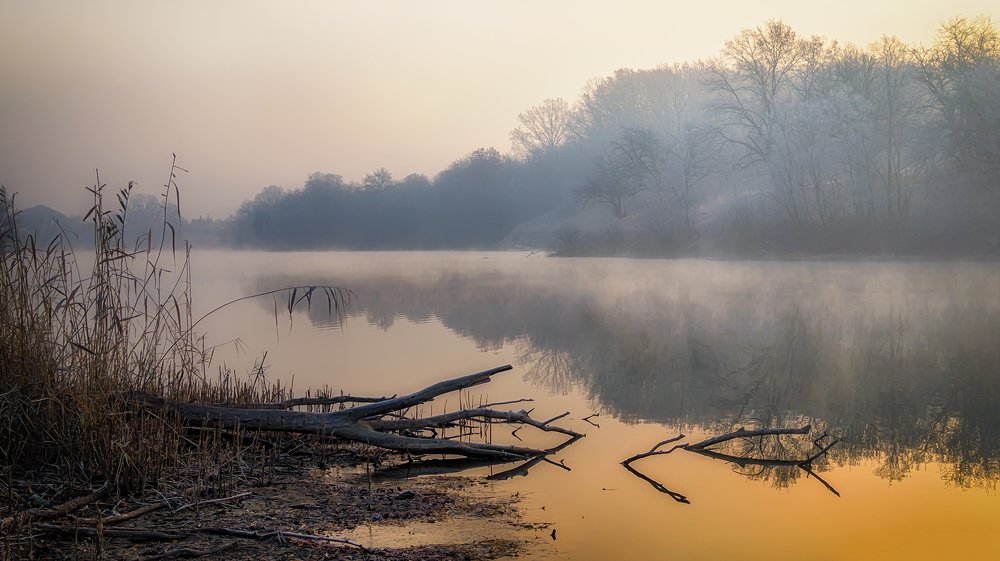 Photograph by Сергей Епишев