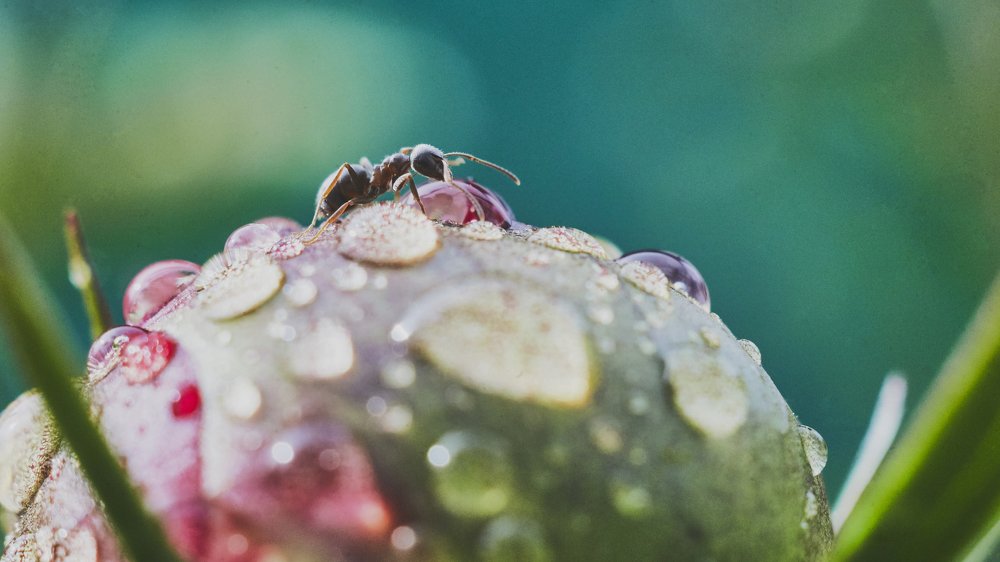 Photograph by Ilya Fedulov