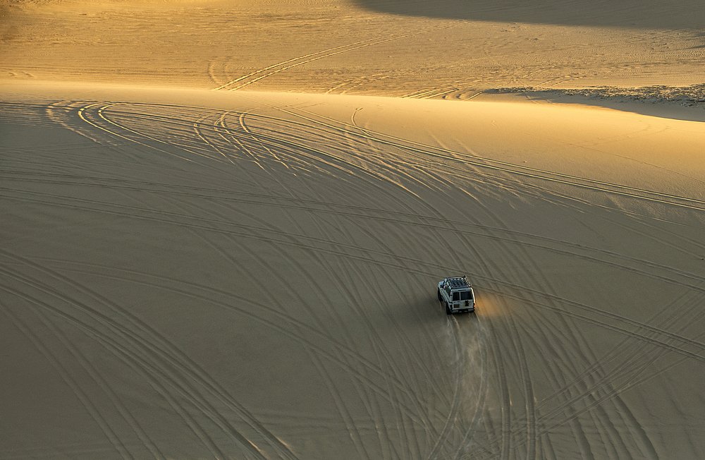 Фотография автора Sherine El Mously