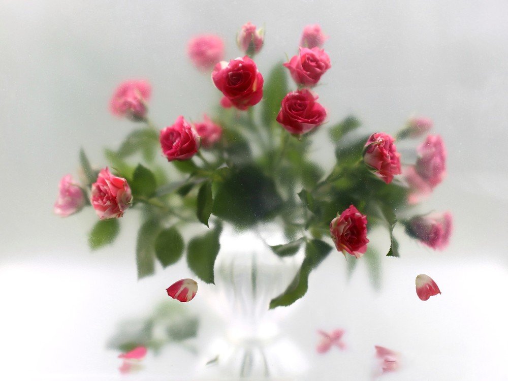 Photograph by Лариса Торопченкова