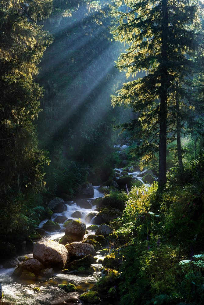 Photograph by Дмитрий Антипов