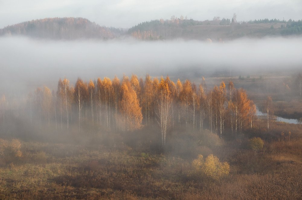 Золотая осень.