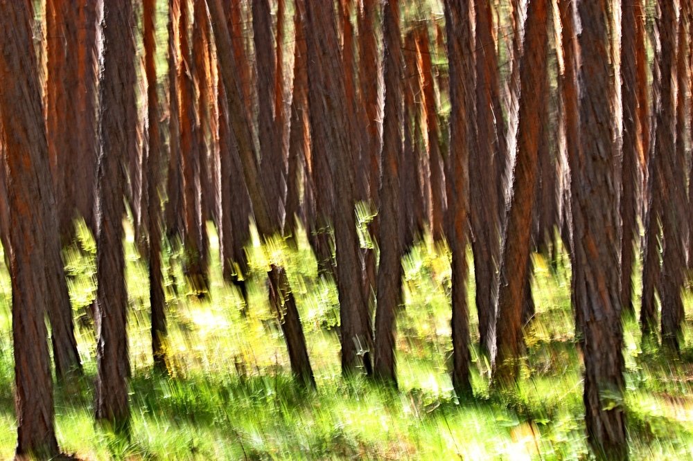 Photograph by Александр Велигура