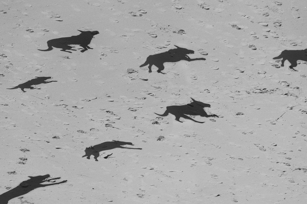 Photograph by Olena Leliuk