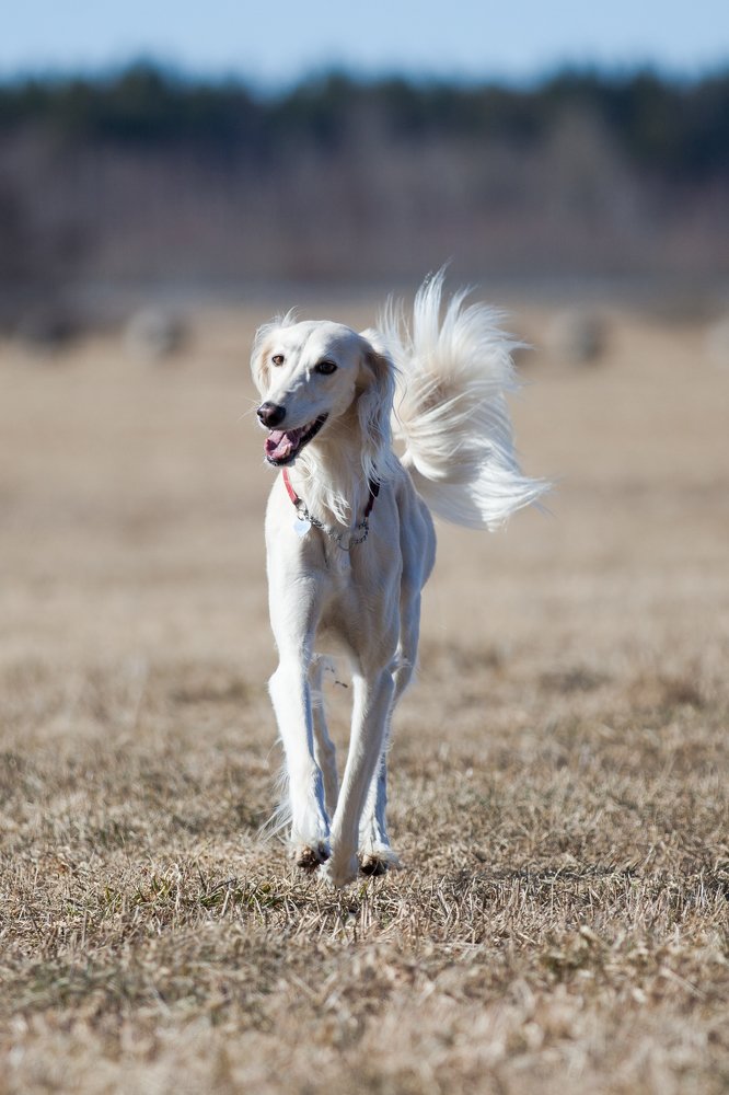 Photograph by Janek Moisavald