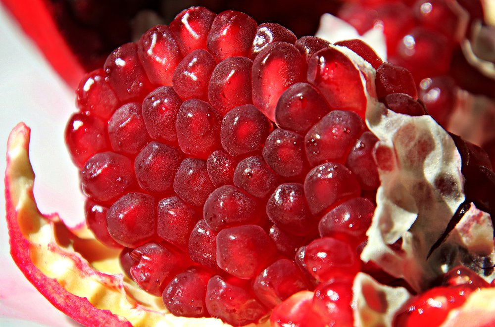 Photograph by Irina Radzinskaya