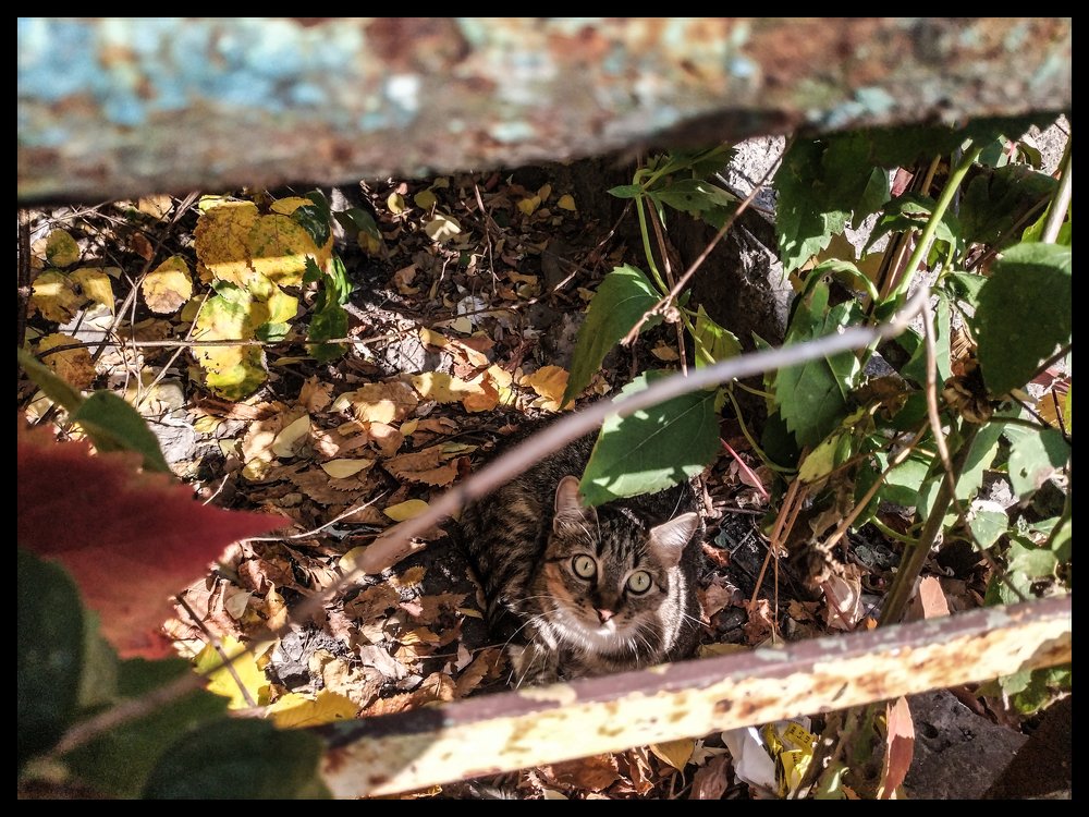 Photograph by Тория Швайнштайгер