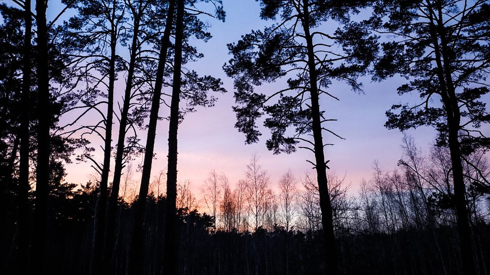 Photograph by Тория Швайнштайгер