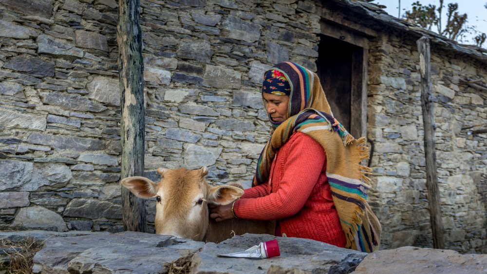 Фотография автора savitri Rawat