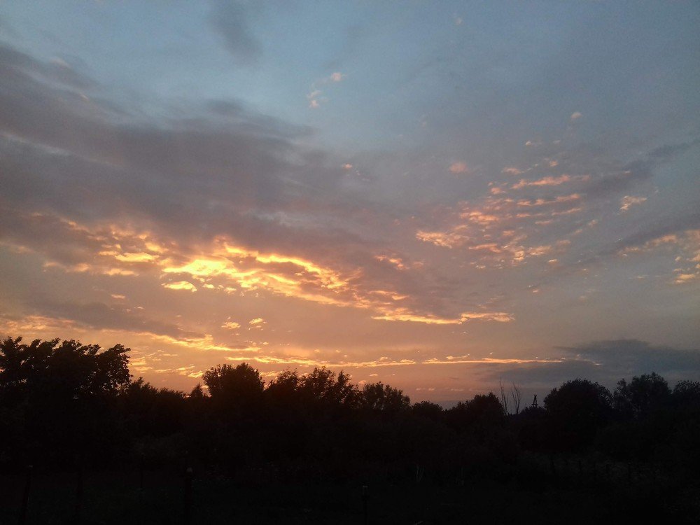 Photo #3757248