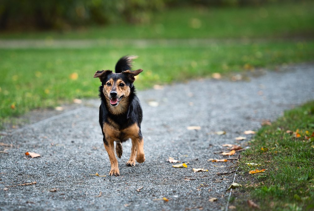 Photograph by Юлия Борт