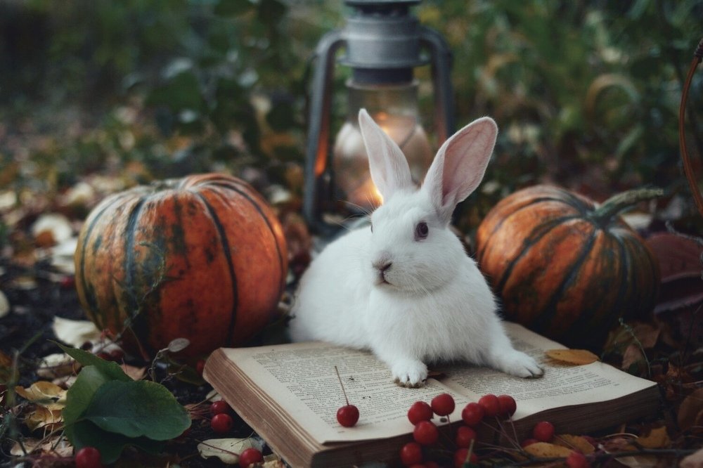 Photograph by Ольга Сиренко