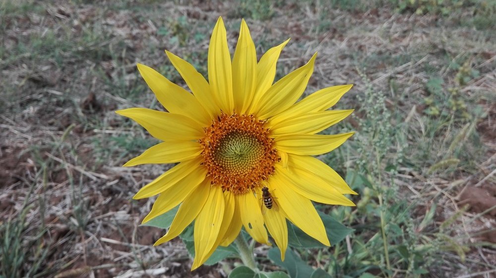 Photo #3757404