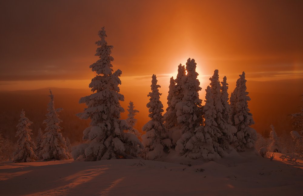 Photograph by Владислав Костылев