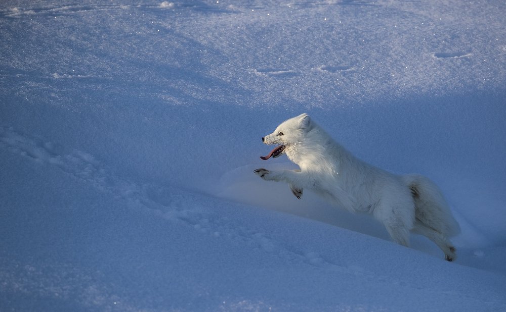 Photograph by Владислав Костылев