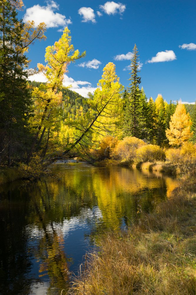 Photograph by Вячеслав Фомин