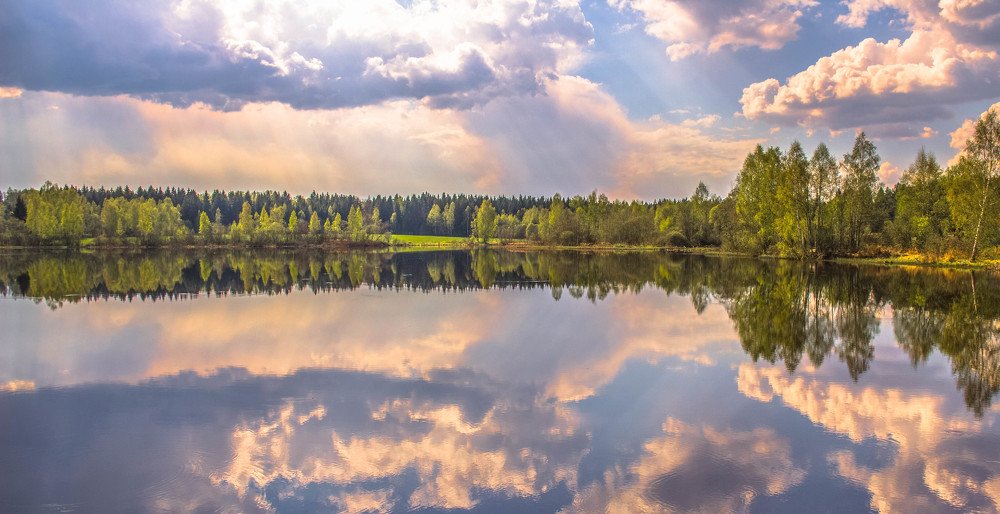 Фотография автора Андрей Меньших