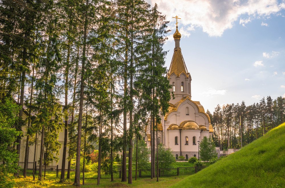 Фотография автора Андрей Меньших