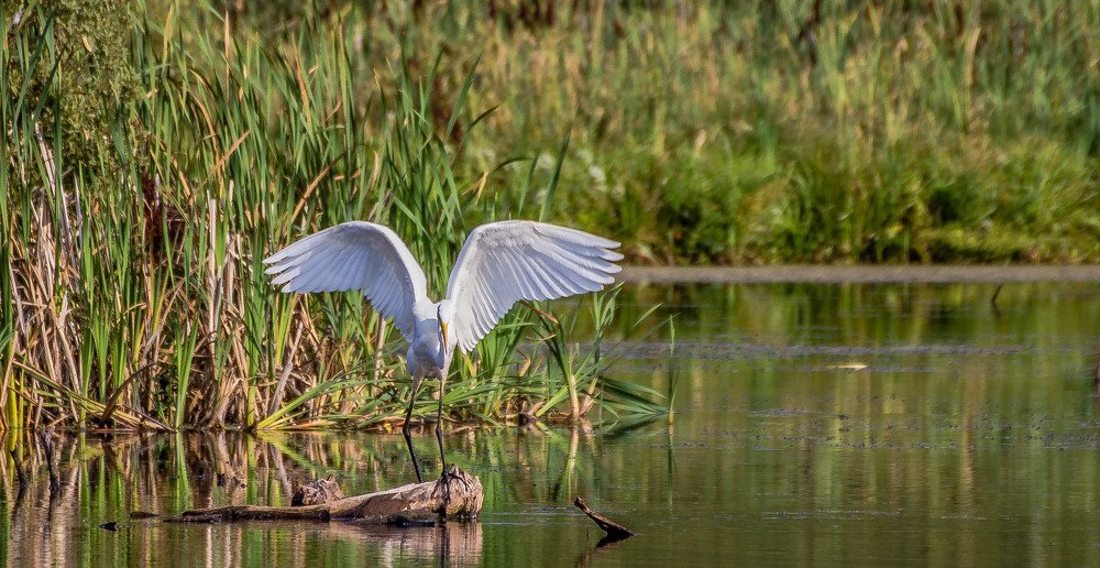 Фотография автора Андрей Меньших