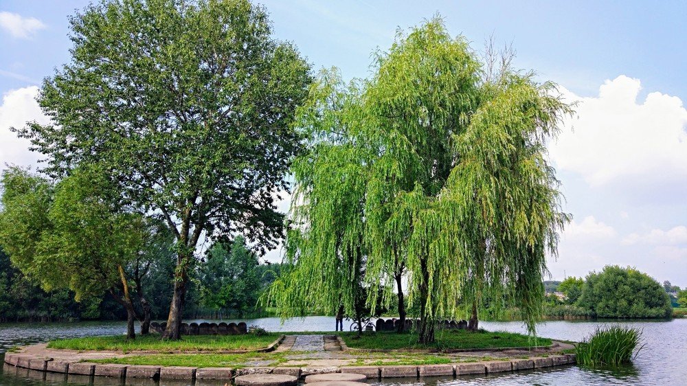 Photograph by Иван Сом