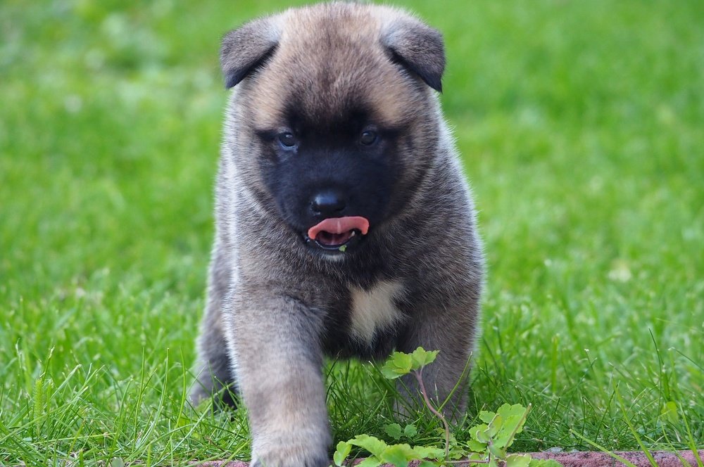 Photograph by Ирина