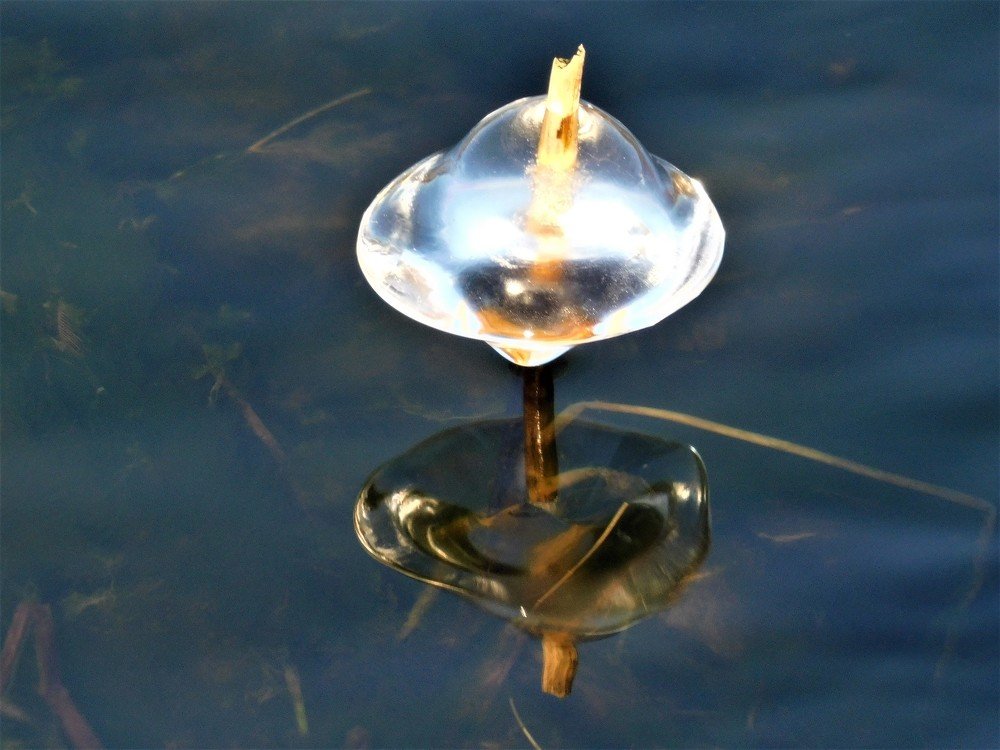 Photograph by Чкареули Светлана