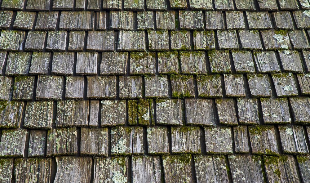 Photograph by Alex Galkin