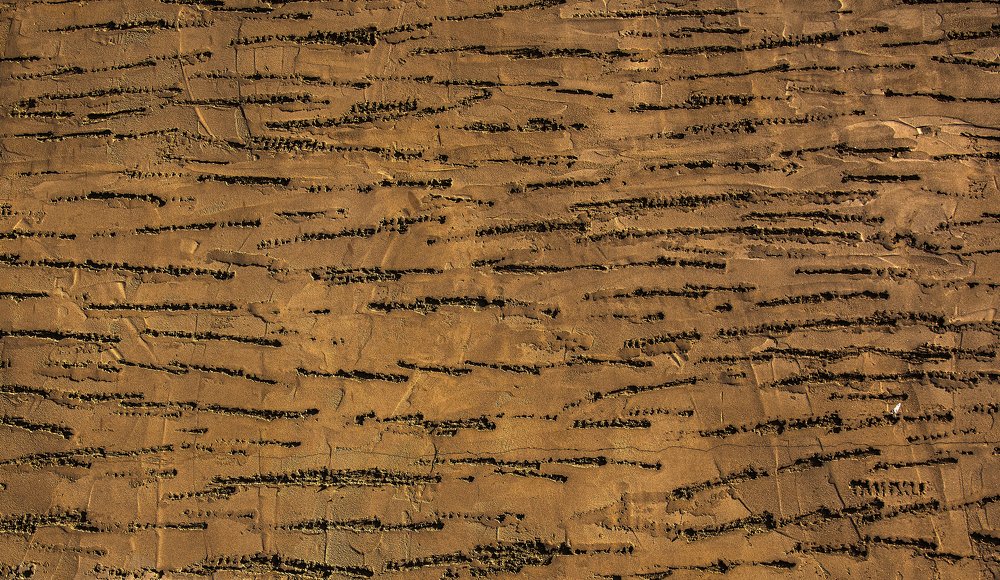 Photograph by Alex Galkin